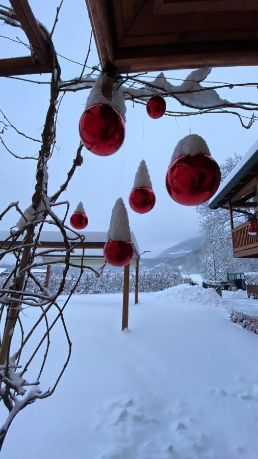 La Tana Del Grillo Bed and Breakfast Feltre Buitenkant foto